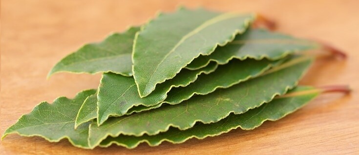 How to Kill Roaches: Bay Leaves